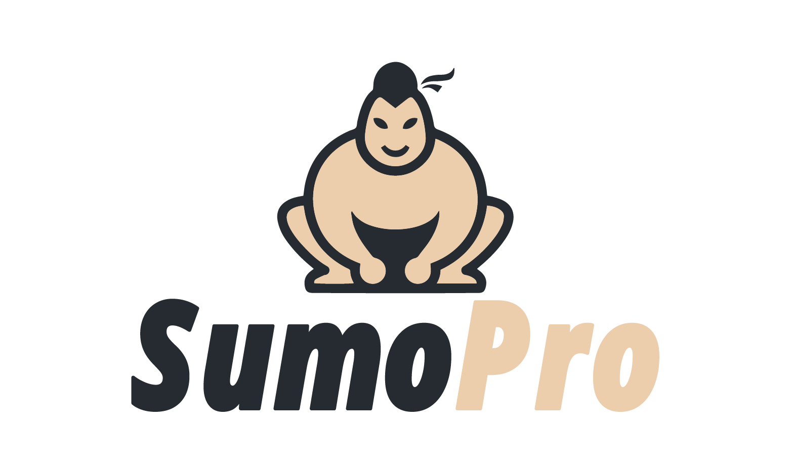 SumoPro.com - Creative brandable domain for sale